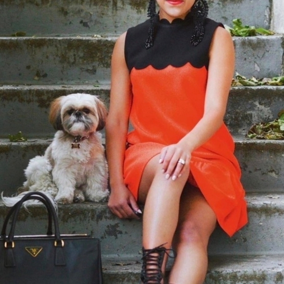 Victoria Beckham Orange & Black Drop Waist Scalloped Trim Cocktail Dress. Size2X - Picture 14 of 15